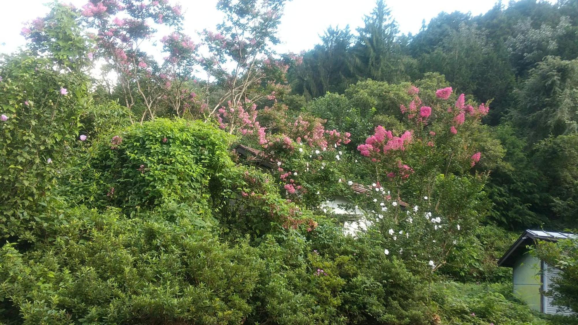 民宿松尾 Kiso Esterno foto
